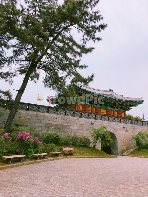 강화도,광성보,관광지,강화광성보,유적지,철죽,한국전통,한국문화,korean traditional,korean culture,건축물,건물외관,exterior,building,structure,architecture,construction