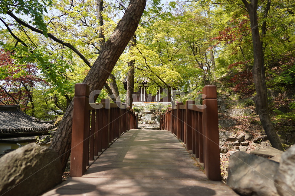 석가모니,사찰,길상사,부처님오신날,temple,옥외,garden,정원,정자,outdoors,다리,bridge