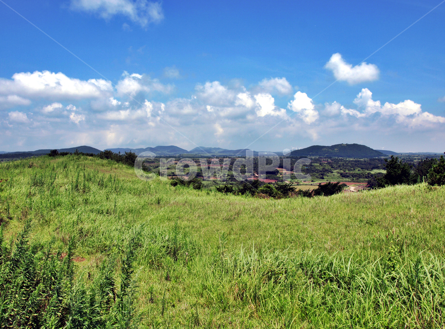 통오름,올레3코스,올레,제주,서귀포,푸른하늘,흰구름,자연,자연,풍경,nature,landscape,outdoors,옥외