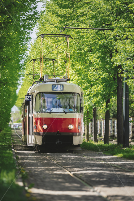 차량,transportation,교통,cablecar,케이블카,automobile,트램,프라하,체코,외국도시,해외도시,전차,기차,vehicle