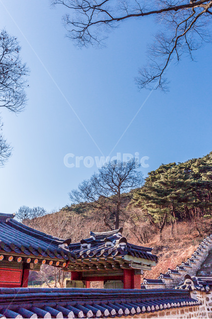 문화유산,고궁,관광지,기와,한국의미,한국전통,한국문화,korean traditional,korean culture,건축물,건물외관,exterior,building,structure,architecture,construction