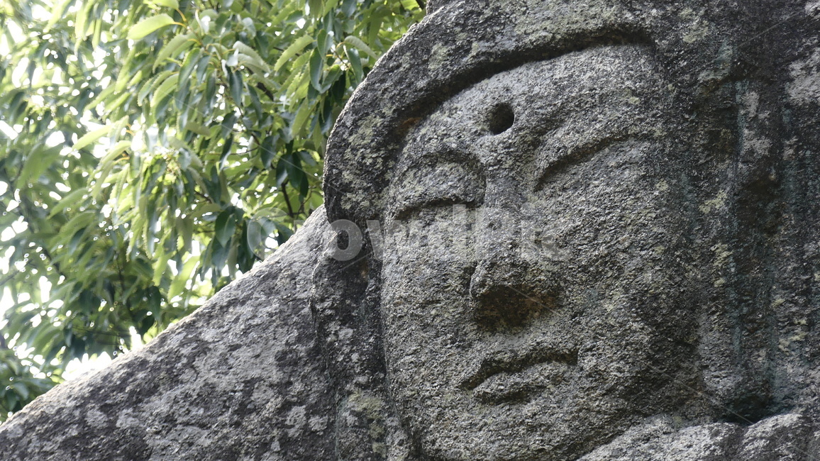 불상,자연휴양림,여래입상,천안,삼태리,마애여래입상,불심,종교,기도