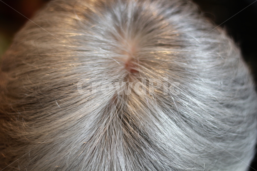 백발,힌머리,반백,하얀머리,인물,중년,검은머리,염색,hair,머리,정수리,사람,인물,인간,human,person,신체일부,몸,body,노인,어르신,old man, senior citizen