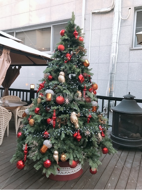 겨울,크리스마스,트리,크리스마스트리,징글벨,산타,루돌프