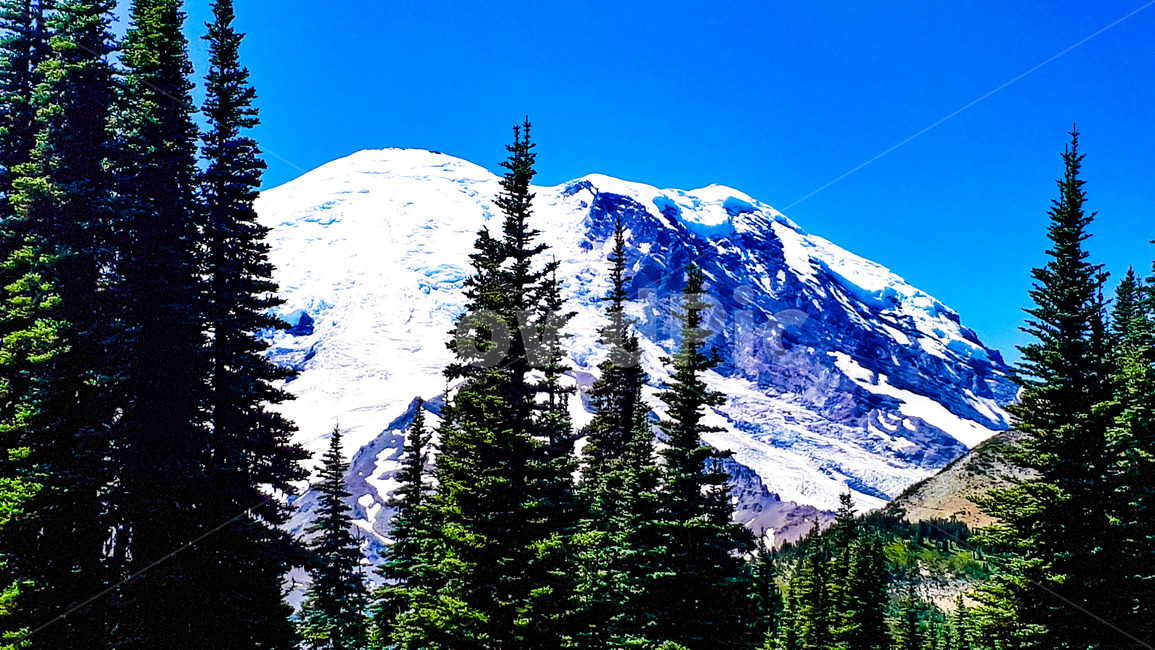 blue sky,mountain peak,US national park,forest,postcard photo,summit,scenery,rock wall,cloud,background image,mountain,white,Mount Rainier,dormant volcano,sight,computer background photo,background photo,ridge,glacier,landscape photo,Seattle,nature,fir tr