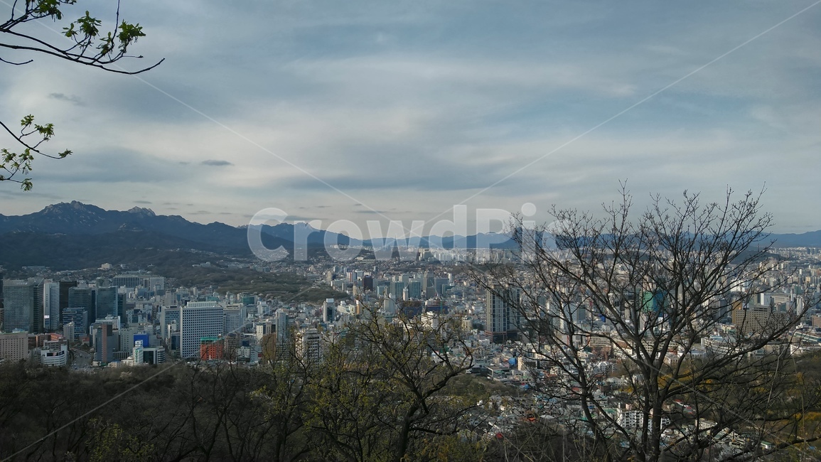남산,풍경,건물,빌딩,하늘