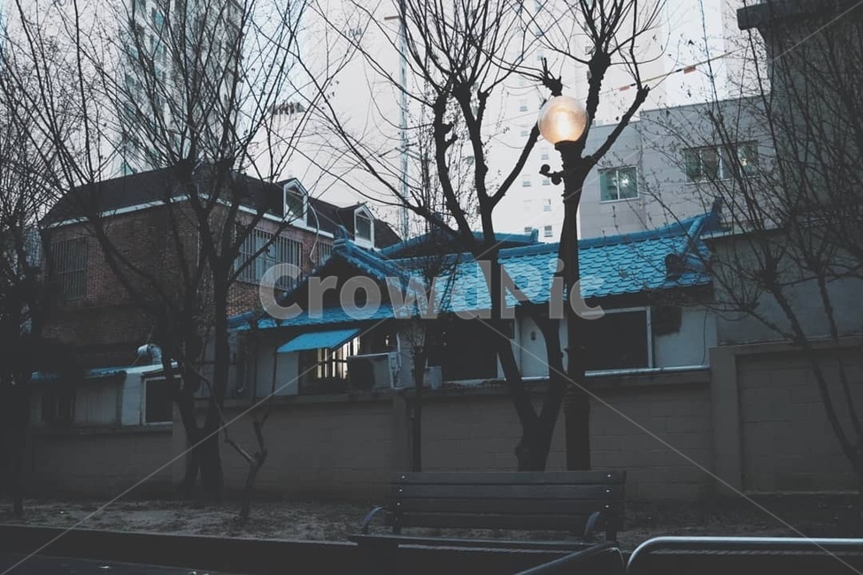 나무,집,가로등,벤치,어두움,도시,풍경,city,landscape,한국도시풍경,한국도시경관,korea cityscape,감성,sensible,feeling