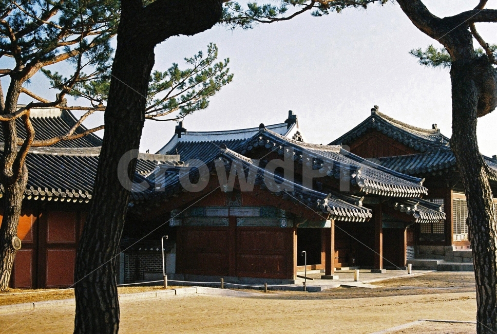 한옥,나무,풍경,전통,감성,전통건축,필카,필름카메라,하늘,한국전통,한국문화,korean traditional,korean culture,랜드마크,landmark,tourist attraction,한국랜드마크,한국관광지,한국명소,korea landmark,korea tourist attraction