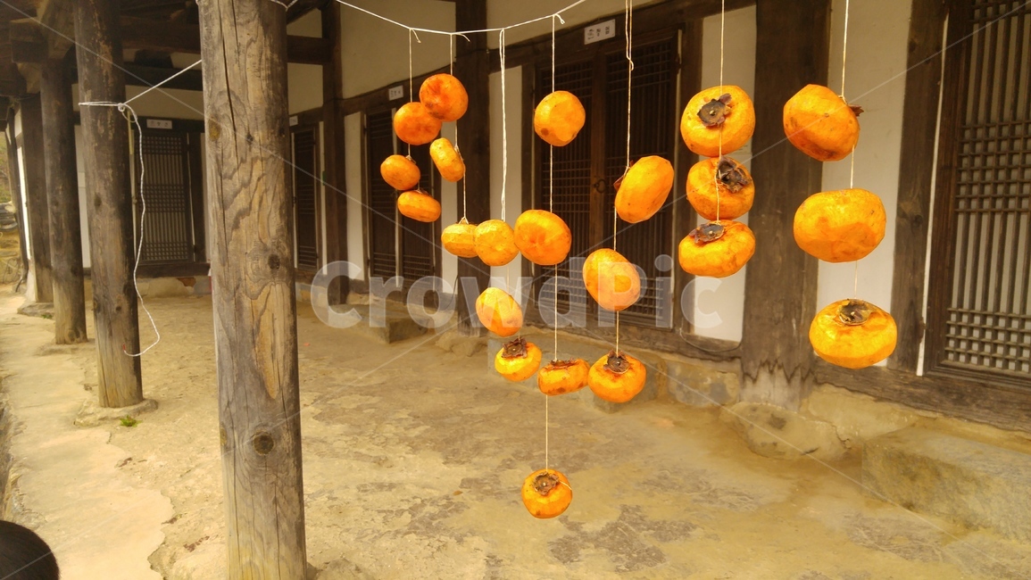 감,persimmon,driedpersimmon,말린감,전통,tradition