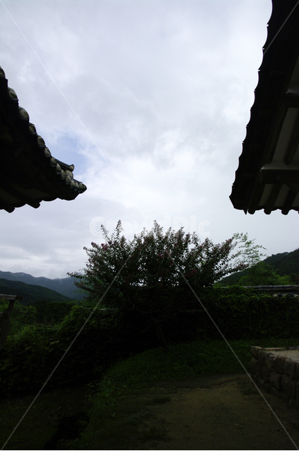 한옥,전통가옥,기와지붕,traditional,하늘,구름,나무,한국전통,한국문화,korean traditional,korean culture,건축물,건물외관,exterior,building,structure,architecture,construction