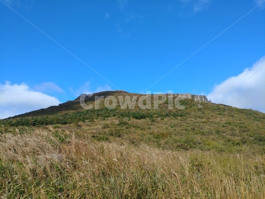 산,무등산,억새,풍경,등산,자연,풍경,nature,landscape,outdoors,옥외,hill,언덕