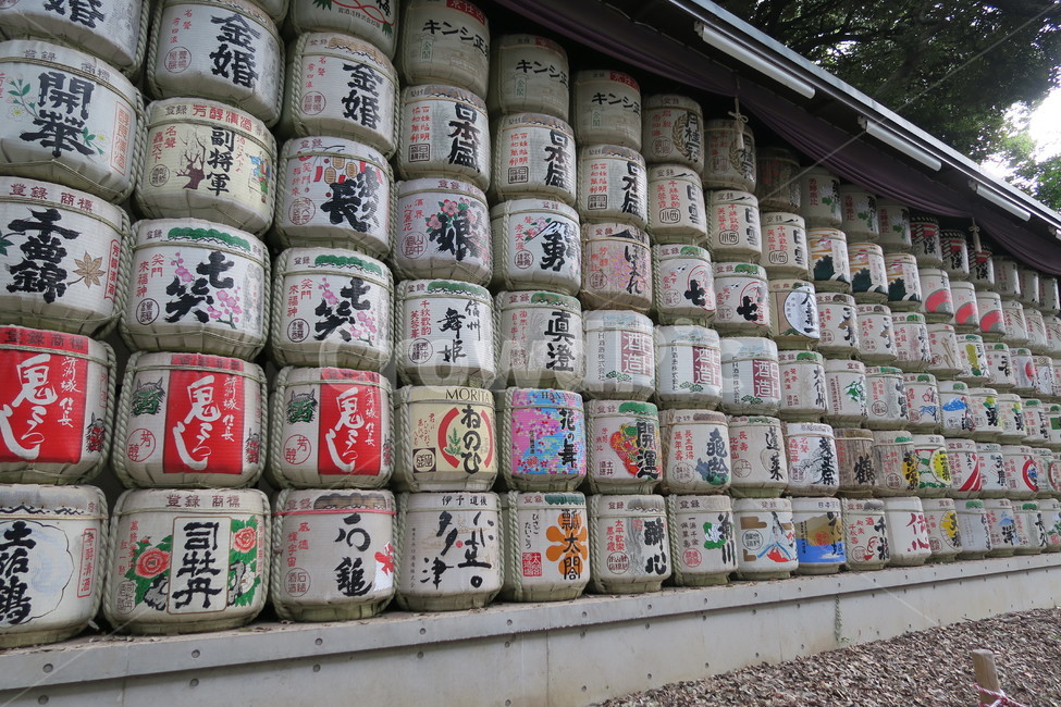 도쿄,일본,메이지신궁,산사,절,풍경
