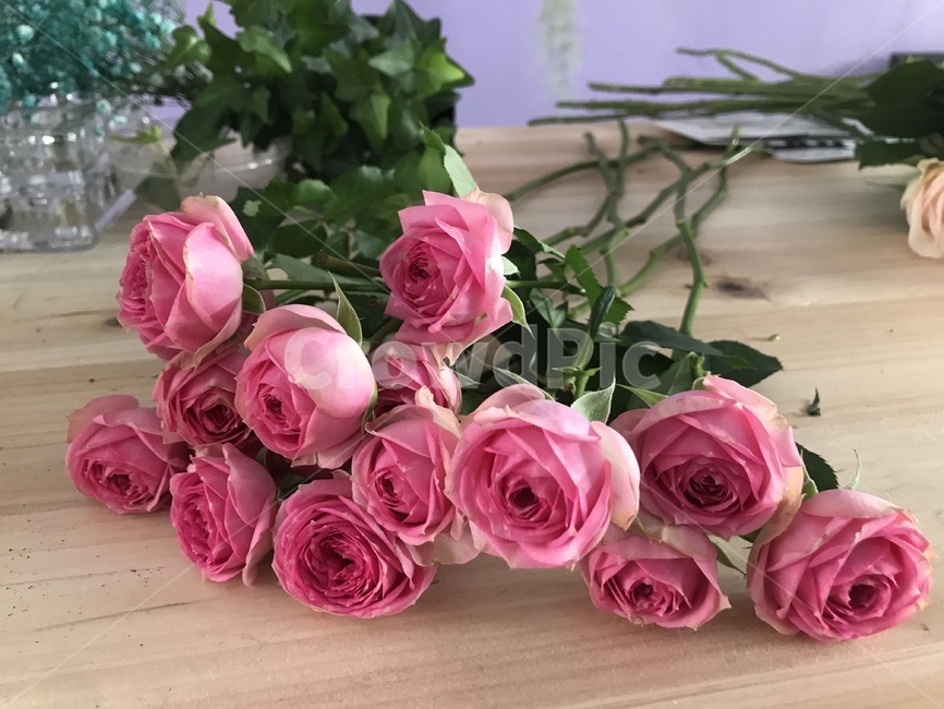 꽃,장미,예쁜장미,예쁜꽃,rose,flower