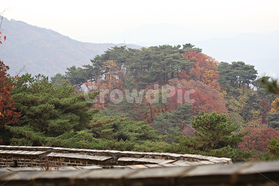 남한산성,성,성곽,단풍,낙엽,길,둘레길,숲,숲길,담,돌담,가을,자연,풍경,벽,울긋불긋,산성,식물,가을,계절,fall,autumn,season
