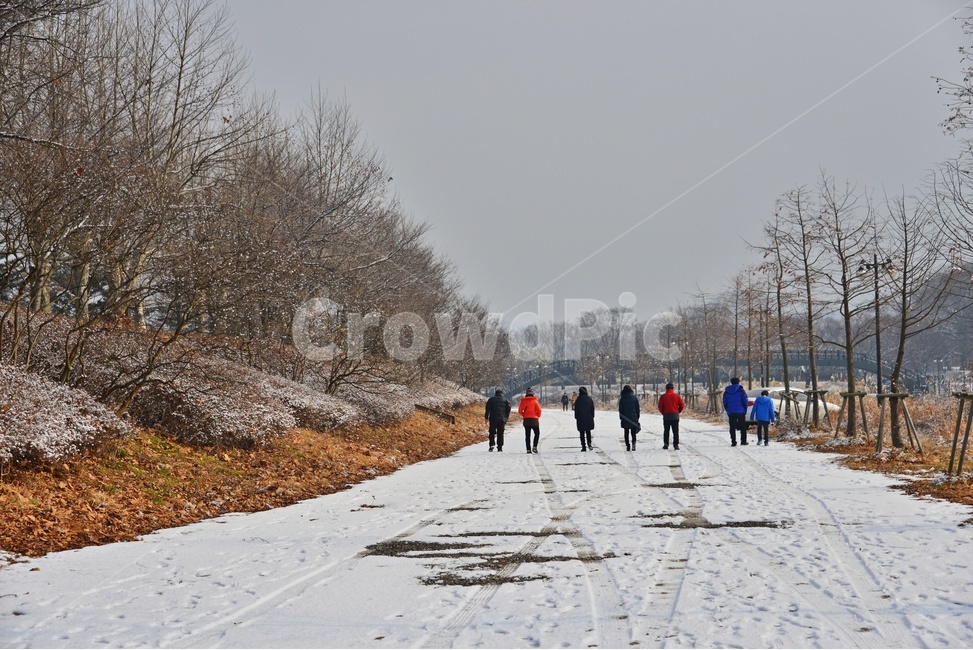 water,물,nature,자연,담양,관방천,관방제림,관방천설경,설경,눈,겨울,계절,person,사람,human,인간