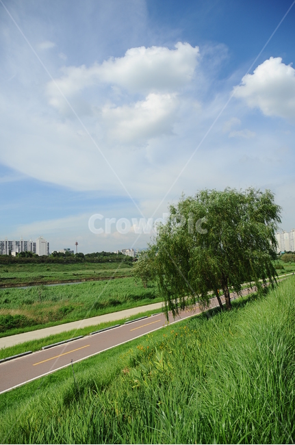 여름,산책로,한가로움,여유,공원,자연,풍경,nature,landscape,road,도로,plant,식물,grass,잔디