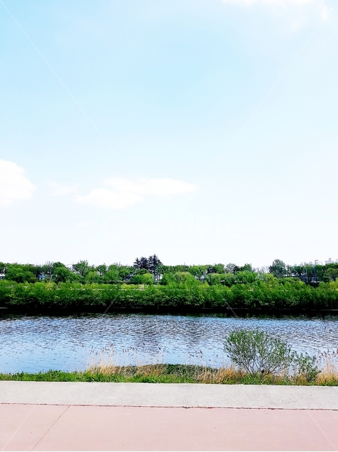 water,물,nature,자연,풍경