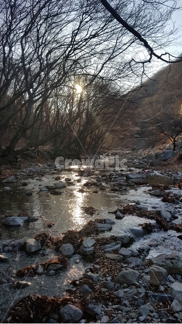 water,물,outdoors,옥외,nature,자연,stream,흐름,돌,나무