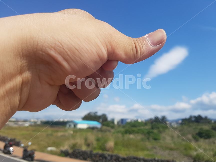 하늘,구름,밭,꽃,자연,파란색,하나,지장,손톱,손가락,주먹,엄지,손,사람,인물,인간,human,person,신체일부,몸,body,손,제스처,표시,손짓,표현,gesture,hand,sign,expression