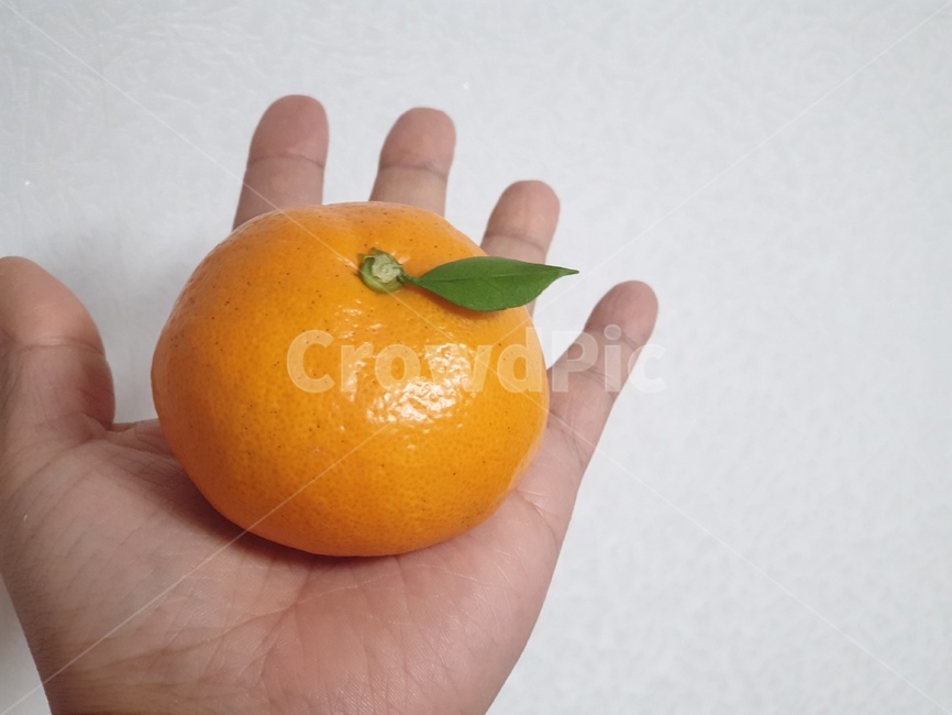 food,fruit,과일,감귤류과일,citrusfruit