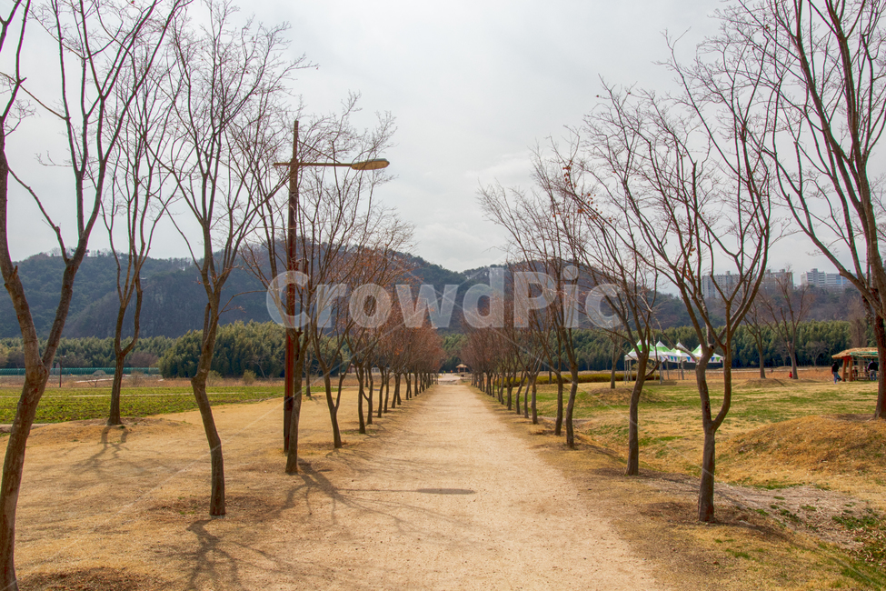 산책,봄,길,외로움,기다림,겨울,계절,winter,season,자연,풍경,nature,landscape,tree,나무,plant,식물,road,도로,dirt road,흙길,gravel,자갈,ground,바닥