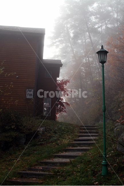 안개,숲속,아침,햇살,나무,가을,계절,fall,autumn,season,건축물,건물외관,exterior,building,structure,architecture,construction,nature,자연,weather,날씨,outdoors,옥외