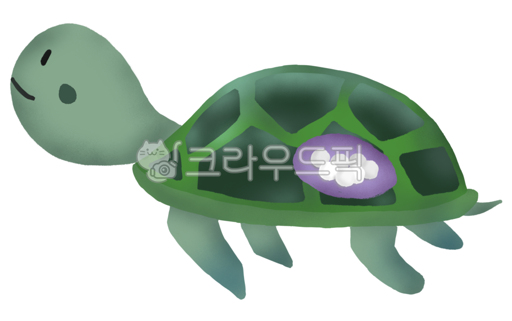 거북이,거북이알,동물,파충류,알,바다거북,거북
