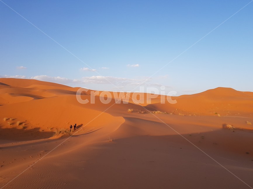 sand dunes,nature,soil,sand,Morocco,camel,sahara desert,desert