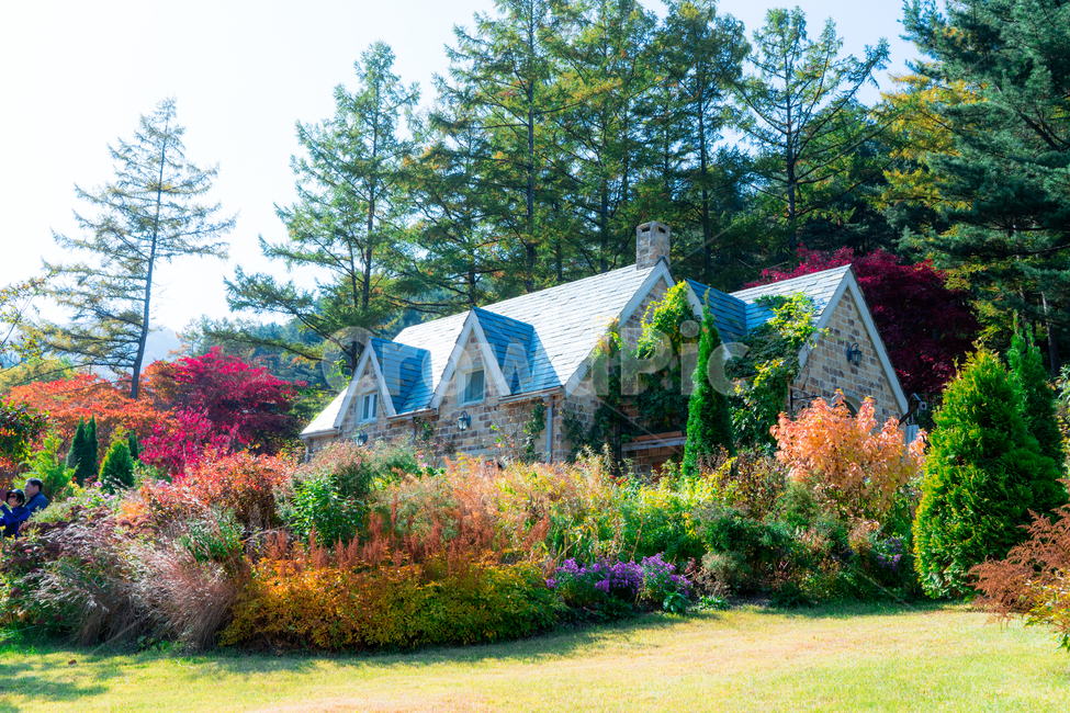 가을,단풍,집,house,자연,정원,garden,nature,농촌,rural,shelter,outdoors,countryside,건물,building,자연,풍경,nature,landscape