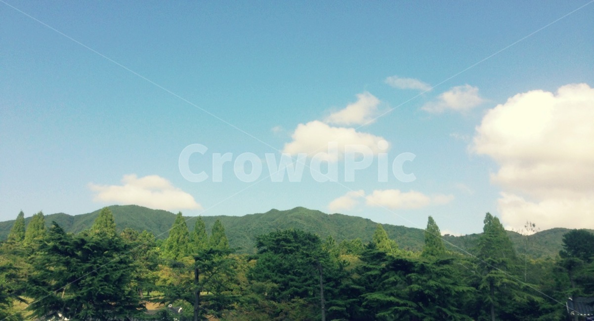 하늘,구름,여름,감성,옥외,outdoors,자연,nature