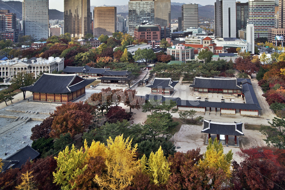덕수궁,궁궐,가을,자연,도심,건물,빌딩,한국전통,한국문화,korean traditional,korean culture