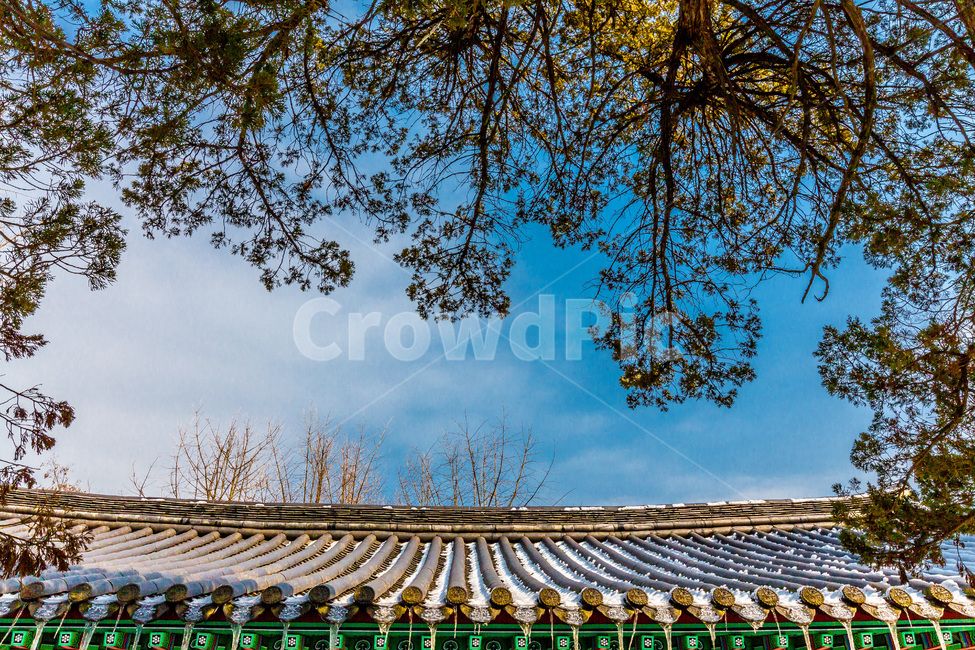 기와,선,전통,문화유산,건축,한국전통,한국문화,korean traditional,korean culture,건축물,건물외관,exterior,building,structure,architecture,construction