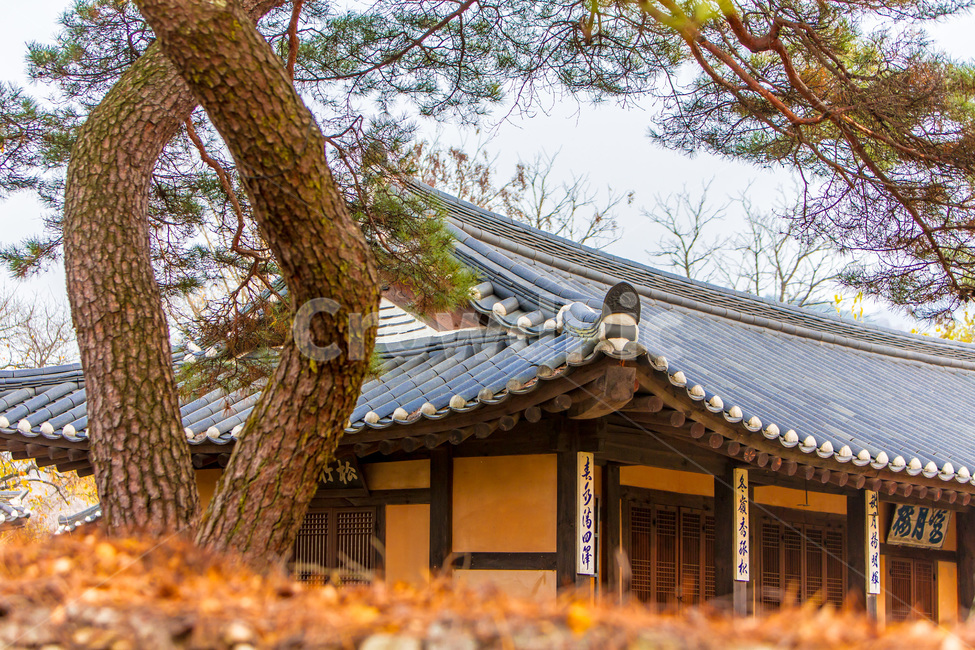 기와,낙엽,가을,고택,전통가옥,문화유산,한국전통,한국문화,korean traditional,korean culture,건축물,건물외관,exterior,building,structure,architecture,construction