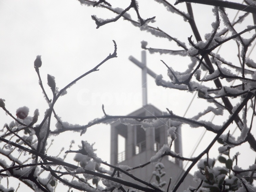 겨울,추위,차가움,눈,교회,십자가,겨울,계절,winter,season,종교,신앙,religion,belief,faith