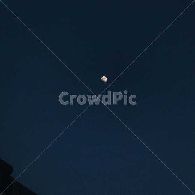 달,moon,밤하늘,자연,반달,nightsky,sky,halfmoon,자연,풍경,nature,landscape,야경,밤,nightscape,night,outdoors,옥외