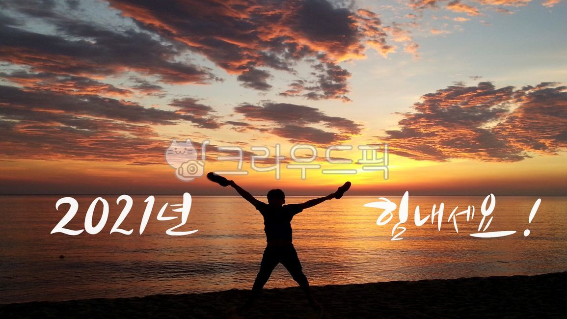 힘내세요,2121년,새해,신년,근하신년,새해카드,건강,소띠해,소,해,바다,nature,자연,silhouette,실루엣,outdoors,옥외,설날,설,새해,new year,캘리그라피,손글씨,calligraphy