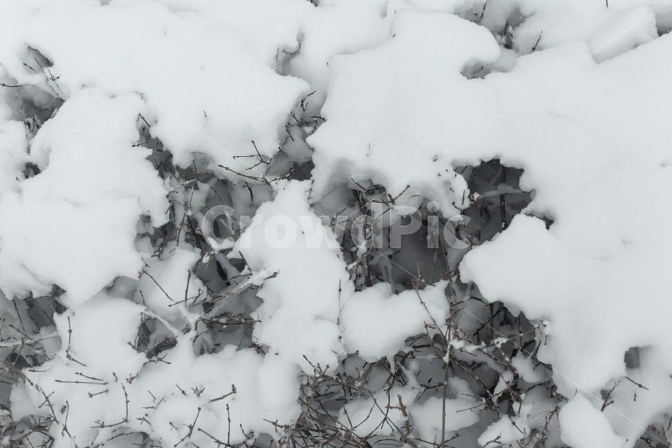 nature,자연,snow,눈,winter,겨울,눈보라,blizzard,러시아,러시아겨울