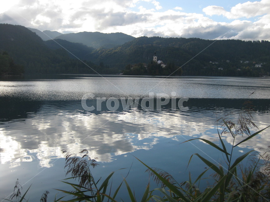 outdoors,nature,야외,자연,호수,lake,plant,식물,grass,잔디,water,물,반영,반사,reflection,갈대,블레드,슬로베니아