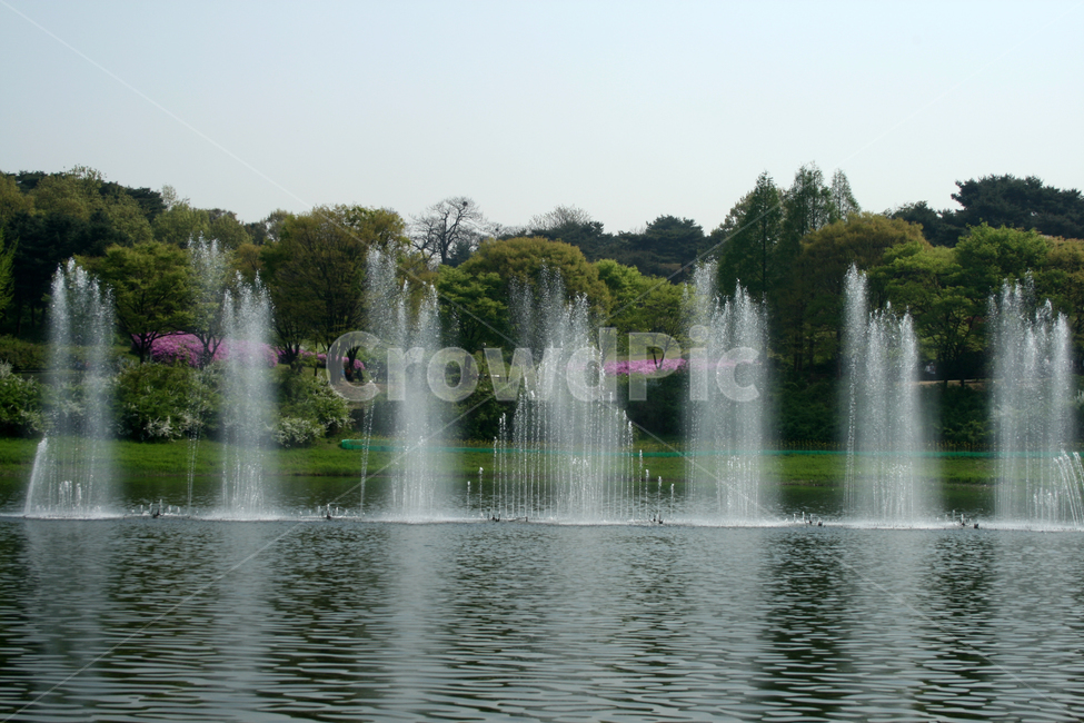 분수,호수,호수공원,봄풍경,봄,봄날,감성,spring,공원,풍경,봄,계절,spring,season,자연,풍경,nature,landscape,water,물,fountain
