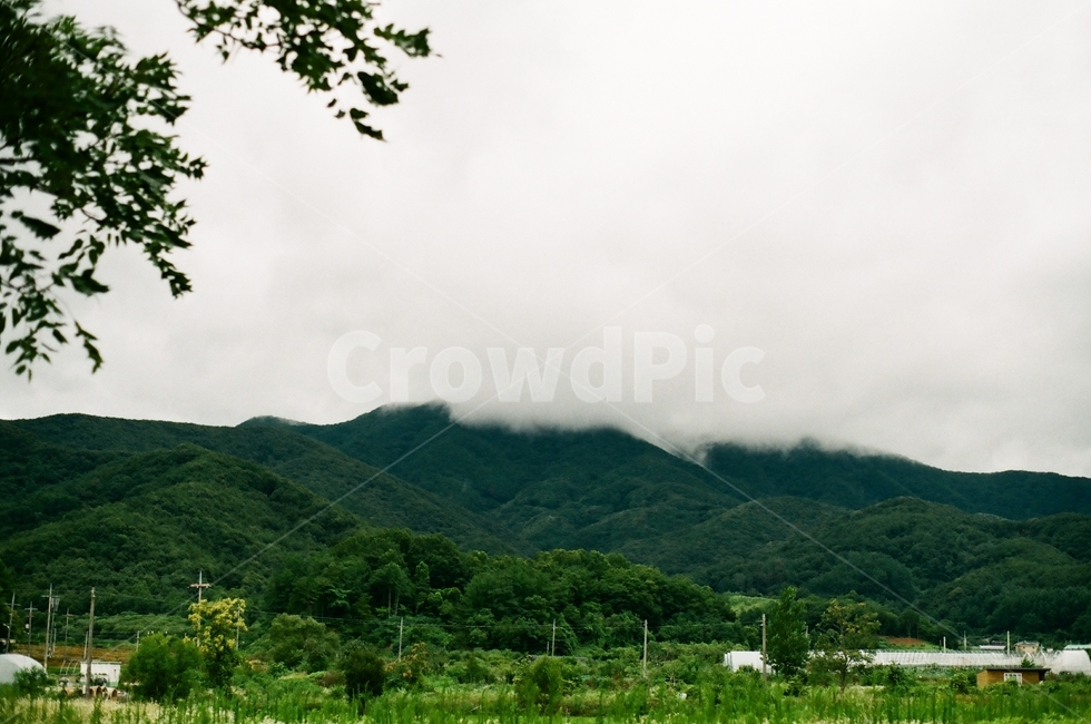 여름,초록,산,구름,자연,옥외,outdoors,nature