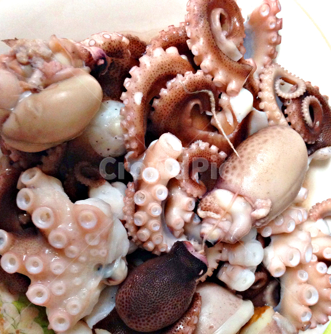 해산물,음식,쭈꾸미,쭈꾸미숙회,삶은쭈꾸미,음식,식재료,요리,food,cook,meal,dishes,food reserves