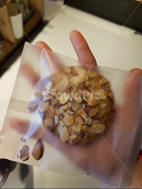 쿠키,오곡쿠키,아몬드쿠키,초코쿠키,손바닥,음식,식재료,요리,food,cook,meal,dishes,food reserves,디저트,간식,후식,dessert,snack