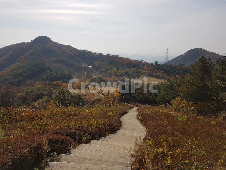 계단,산,나무,맑은날,길,자연,풍경,nature,landscape,building,건물,boardwalk,산책로,bridge,다리