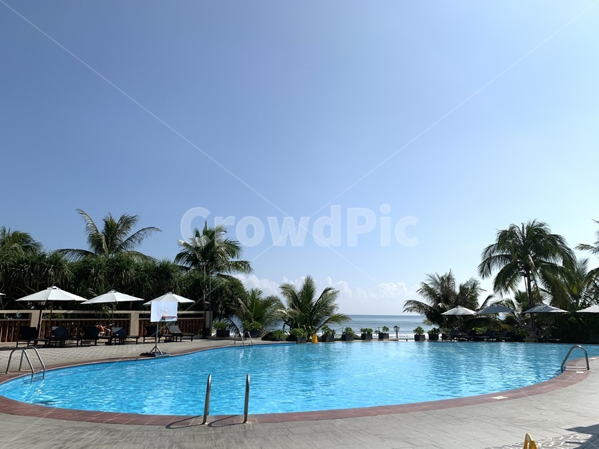 호텔,hotel,resort,수영장,풀빌,열대나무,여름,동남아,리조트,휴가,피서,여름,계절,summer,season