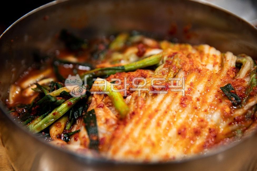 배추,양념,빨간색,고춧가루,김치,한국전통음식,chinesecabbage,seasoning,red,redpepperpowder,kimchi,koreantraditionalfood