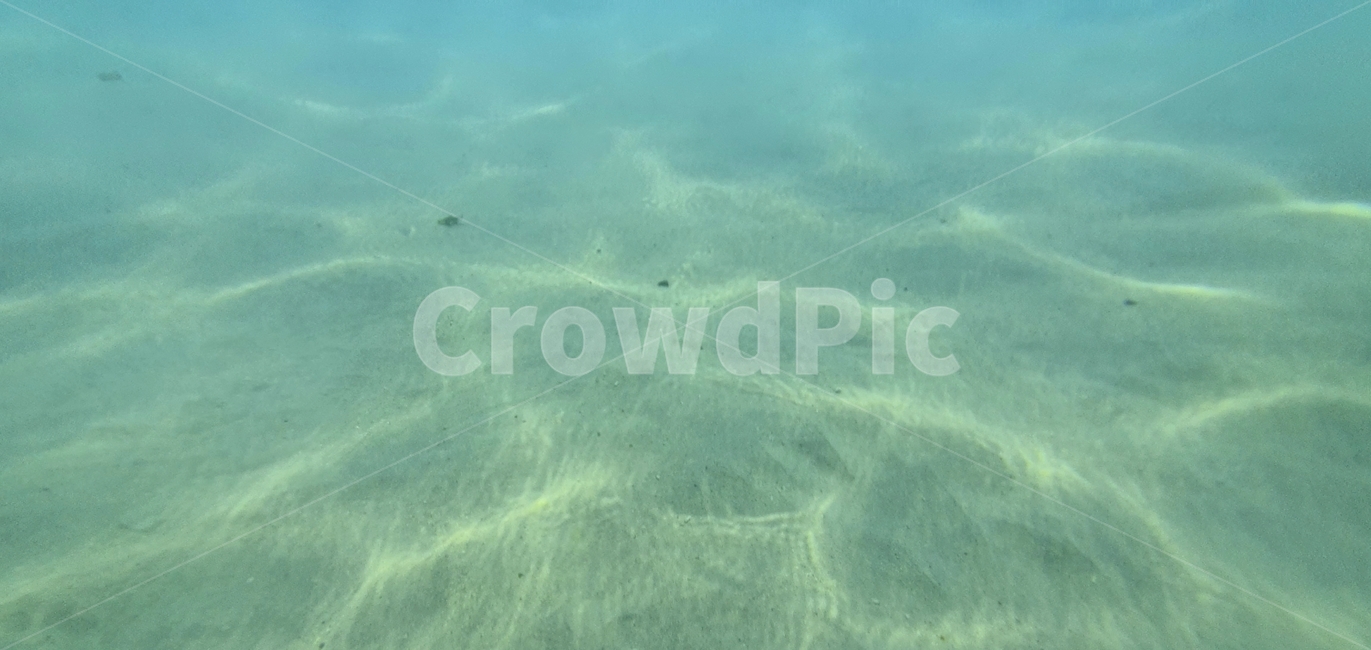 outdoors,옥외,nature,자연,sea,reef,대양,ocean,물,water,바다,암초,animal,동물,sealife,해양생물