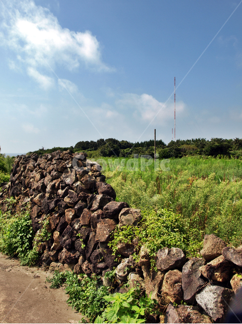 제주,올레6코스,올레길,서귀포시,돌담,밭,농사,푸른하늘,자연,풍경,nature,landscape,한국자연풍경,한국자연경관,korea nature landscape,제주도,jeju,jeju island,rubble,파편,ground,바닥