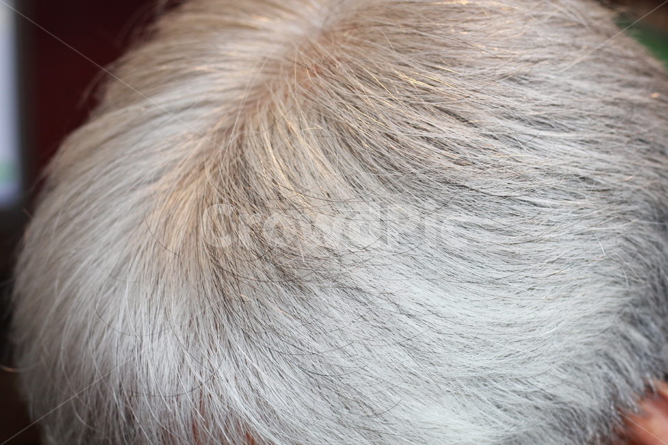 백발,힌머리,반백,하얀머리,인물,중년,검은머리,염색,hair,머리,사람,인물,인간,human,person,신체일부,몸,body,노인,어르신,old man, senior citizen