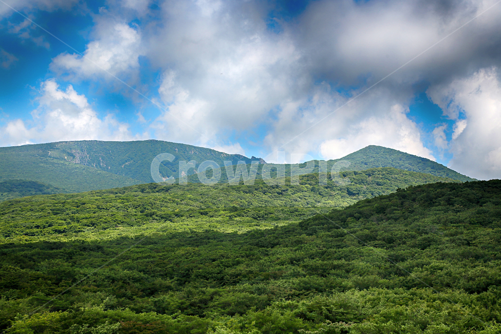 제주도,한라산,1100고지,한라산풍경,1100고지풍경,산,nature,자연,옥외,outdoors,자연,풍경,nature,landscape