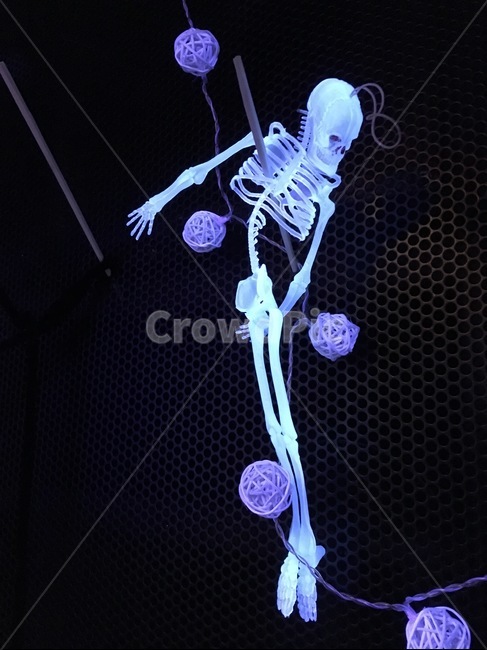 할로윈,파티,할로윈파티,해골,halloween,party